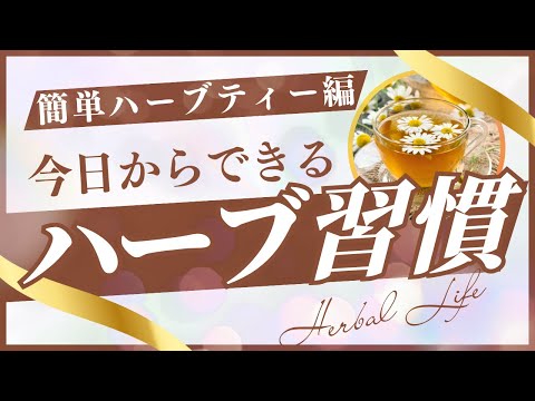 医療ビジネス薬科学科 【簡単ハーブティー編】今日からできるハーブ週間