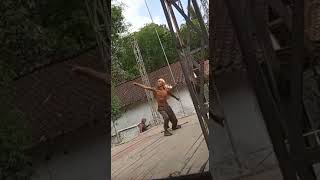 Download lagu #storiwa #metenen #banyuwangi mp3 Download lagu #storiwa #metenen #banyuwangi mp3