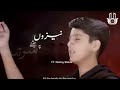 Amma Fizza Whatsapp Status Mir Hasan Mir And Mir Jawad Mir