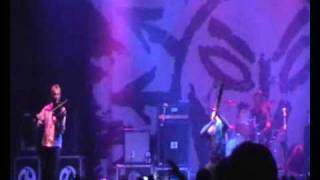 Levellers Didgeridoo