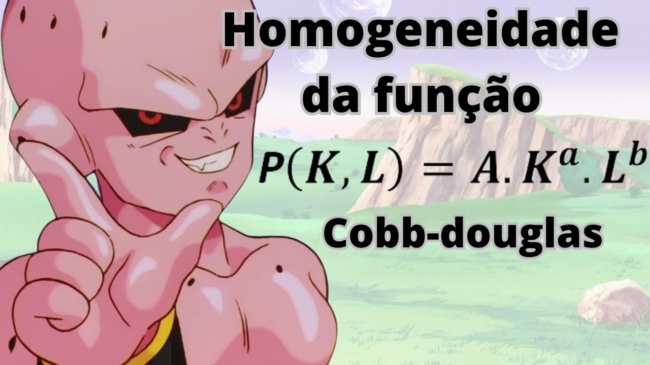 Função de produção Cobb-Douglas e sua homogeneidade