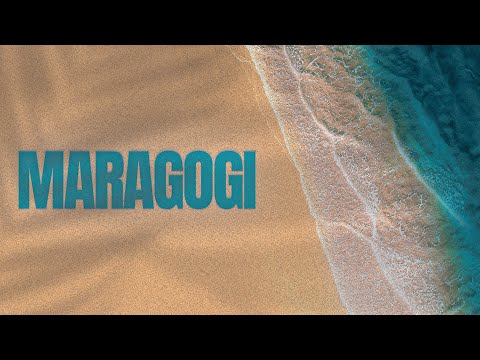Fuub - Maragogi