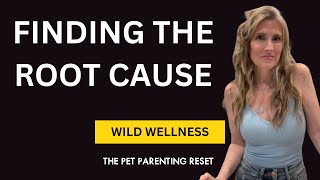 Stop Guessing: Find Your Dog’s Root Cause with Bioresonance (Wild Wellness Pet)