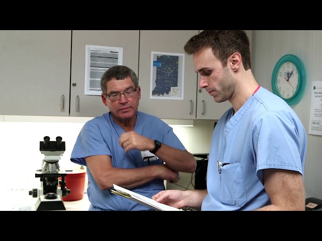 Výslovnost videa nephrolithotomy v Anglický