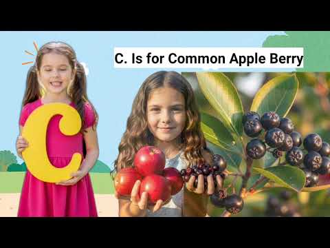 54 Fruit's names that start with C@refugiomental6818 #abcforkids #animalsatoz @ABtalks