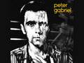 Peter Gabriel - Not One Of Us (album version)