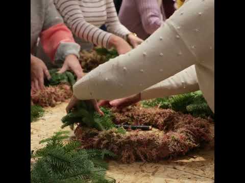 Play Video Youtube Video