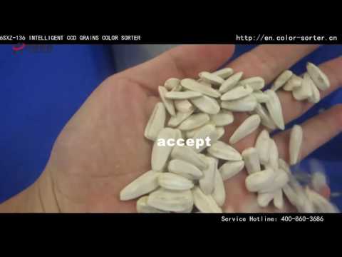 download lagu mp3 mp4 White Sunflower Seeds, download lagu White Sunflower Seeds gratis, unduh video klip White Sunflower Seeds