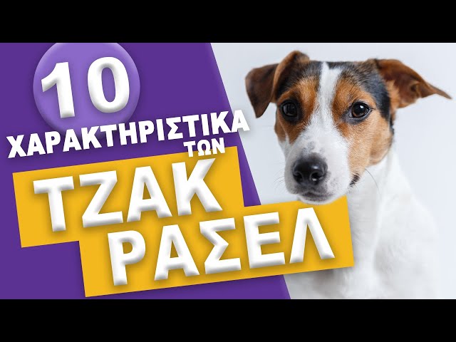 Video de pronunciación de Τζακ en Griego