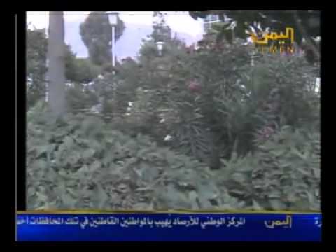 محل ما يعجبك روح فؤاد الكبسي