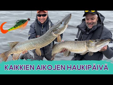 HAUET HURJALLA SYÖNNILLÄ • Pöljä haukipäivä • Hauki kiinni melkein joka heitolla • Hauen kalastus