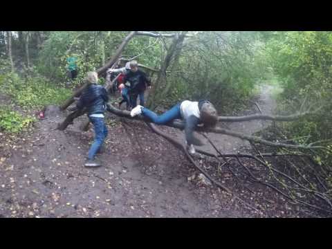 Natural movement in an elementary school
