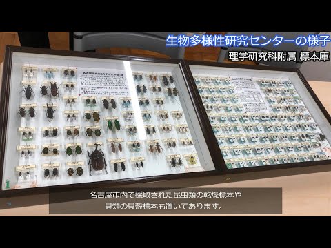 人文学科 生物多様性研究センター紹介動画