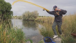 A Truck Just Dumped THOUSANDS of Fish Here! How to Catch STOCKED Rainbow Trout