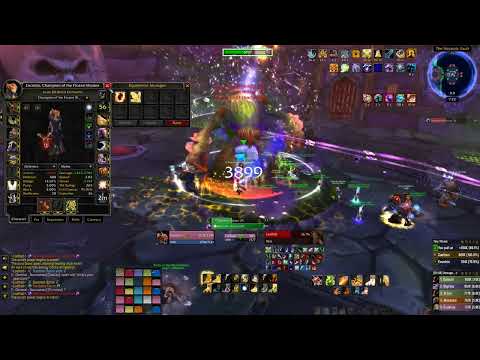 Loatheb 25 Man Retribution Paladin POV