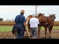 The Missing Piece at IAHC | Lynn Miller Shares His Perspective