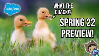 Salesforce Spring 22 Release Dates and Preview!