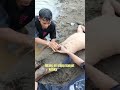 Orang Lagi Tidur Kok Diganggu Kocak Iclik Jahil
