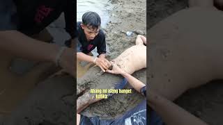 Download lagu orang lagi tidur kok diganggu #kocak #iclik #jahil mp3 Download lagu orang lagi tidur kok diganggu #kocak #iclik #jahil mp3