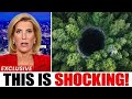 The AI That Mapped The Impossible Mel S Hole Revealed