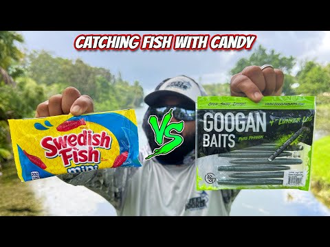 Catching Fish with Candy!  Swedish Fish VS Googan Baits