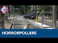 Pollers in Den Haag zorgen voor verkeerschaos