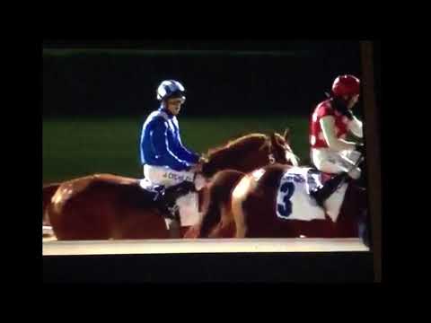 Al Maktoum Challenge R2 PA - Group I 2200M (a11F)