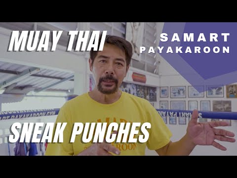 Sneak Punch Tactics With Samart Payakaroon  สามารถ พยัคฆ์อรุณ