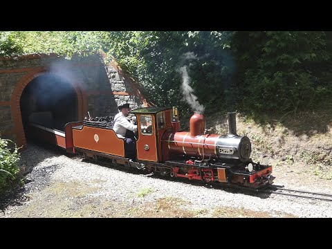 Moors Valley Railway Summer Gala Whistle Compilation!