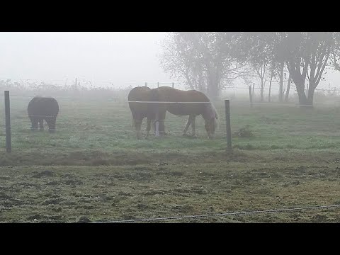 Björn on tour: Moormerland