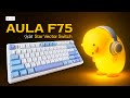 10 Min ASMR Cozy Typing Sounds On The AULA F75 Star Vector