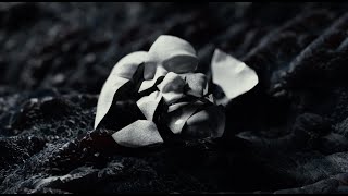 Touché Amoré – “Lament”