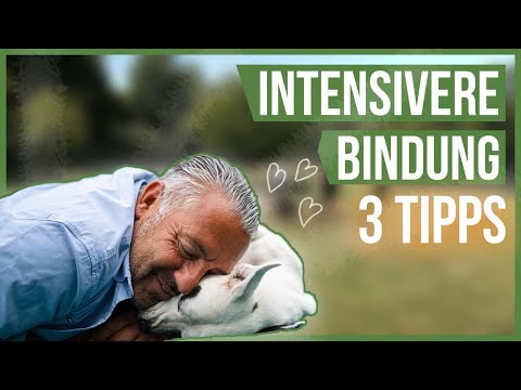 3 TIPS for a strong human-dog relationship! ❤️ You should keep this in mind!