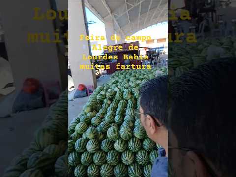 feira de campo Alegre de Lourdes Bahia