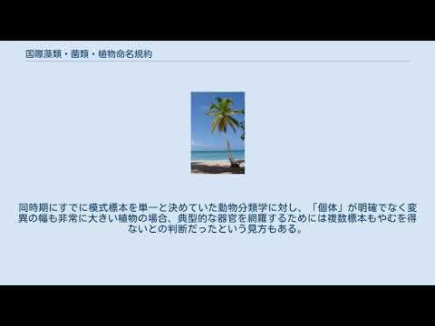 国際植物命名規約 - 定義