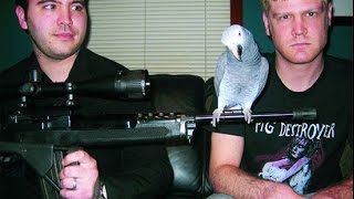 Hatebeak – A Death Metal Band Whose Lead Vocalist Was a Parrot