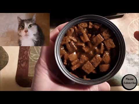 Special Kitty Wet Cat Food - Sliced Beef Dinner - Walmart Brand - Unboxing