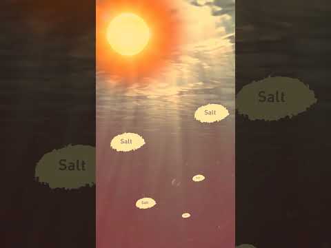 Why Isn't Rain Water Salty?