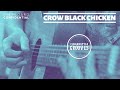 Crow Black Chicken