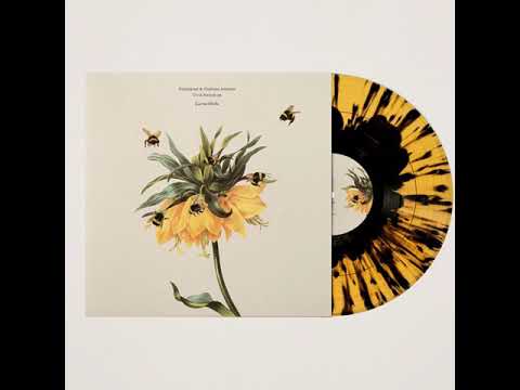 Einzelkind Giuliano Lomonte - Civil Stretch