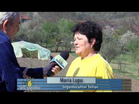 satul hunedorean 19 aprilie 2015