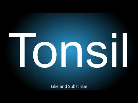 How to correctly pronounce - Tonsil.