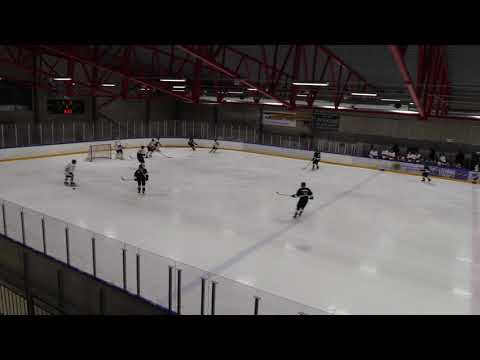 Karhukissat C - Grifk mestis 22.2.2019 Kauniainen erä 3