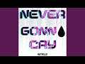 Never Gonna Cry (Vibes Mix)