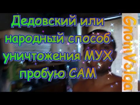 Дедовский или народный способ уничтожения мух пробую сам