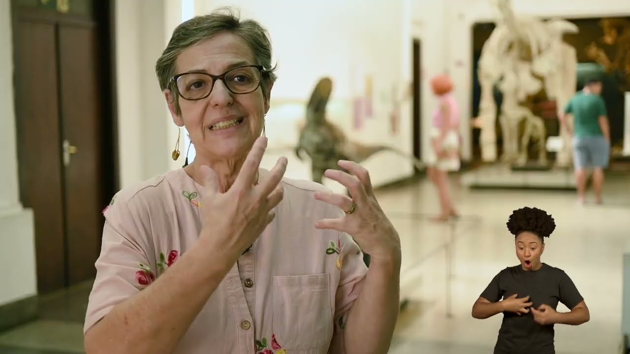 Visit the USP Zoology Museum