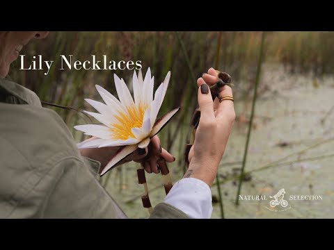 Guide Balipi making lily necklaces in the Okavango