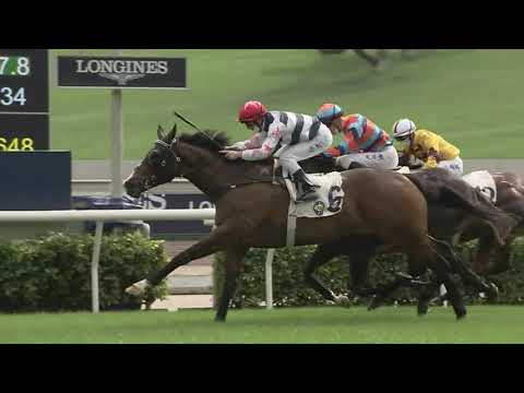 2020/21 (258) - Master Montaro (包裝太保) - 潘頓 (初出大熱後上取勝)