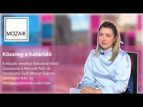Mozaik – Közeleg a határidő – vendég: Bakodiné Iklódi Zsuzsanna