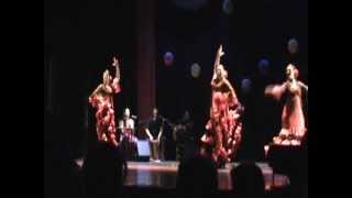 preview picture of video 'II Festival Escuela de Flamenco Silverio - Fandangos'